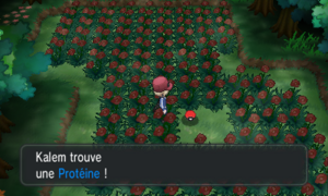 Route 20 Protéine XY.png