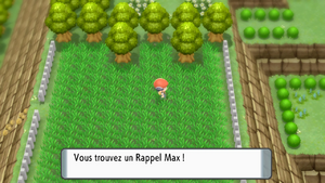 Route 213 Rappel Max 2 DEPS.png