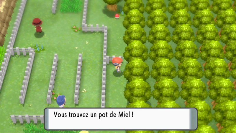 Fichier:Route 214 Miel DEPS.png