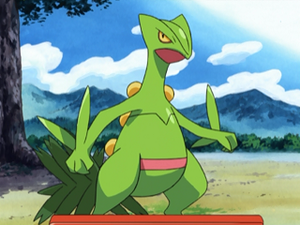 AG161 - Jungko de Sacha.png