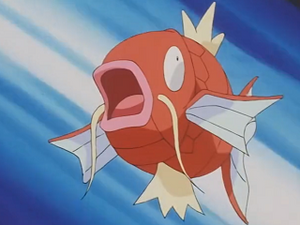 EP215 - Magicarpe d'un Dresseur.png