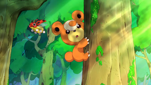 Mini-Film 21 - Teddiursa.png