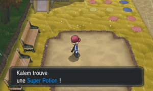 Route 14 Super Potion XY.png