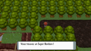 Route 212 Super Bonbon DEPS.png