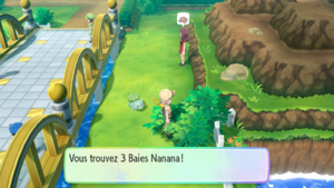 Route 24 Baie Nanana LGPE.png