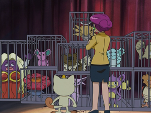 AG121 - Lippoutou, Nidorina et Racaillou d'un Dresseur.png