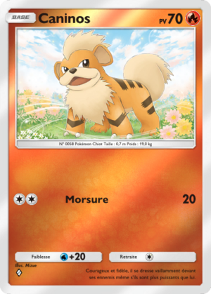 Carte Booster de Luxe ex 062.png