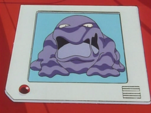 EP030 - Grotadmorv Pokédex.png