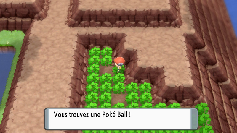 Fichier:Route 211 Poké Ball DEPS.png