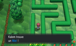 Route 4 Miel Sud Ouest XY.png