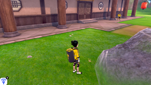 Taupiqueur d'Alola Plaine Salutation 2 EB.png