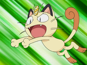 DP007 - Miaouss de la Team Rocket.png