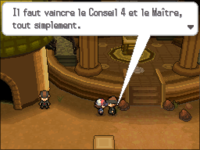 Le « Conseil 4 » et le « Maître » dans Pokémon Noir et Blanc.