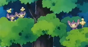 EP207 - Capumain.png