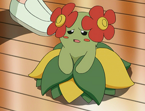 Joliflor de Noëlle.png