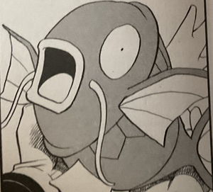 Magicarpou-PMS.png