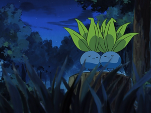 AG118 - Mystherbe.png