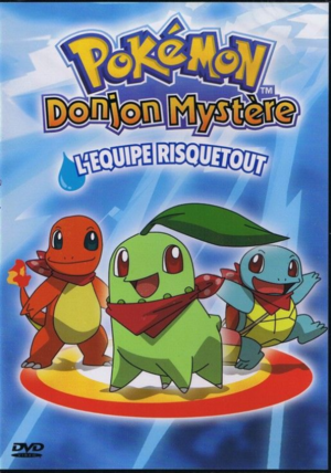 DJM RisqueTout - DVD (recto).png