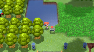 Route 212 Élixir DEPS.png