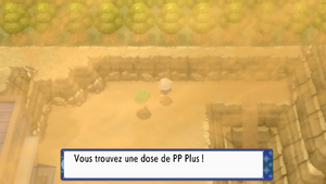 Route 228 PP Plus DEPS.png
