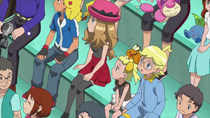 XY028 - Skitty et Mystherbe d'un Dresseur.png