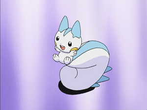 DP027 - Pachirisu d'Aurore (Flash-back).png