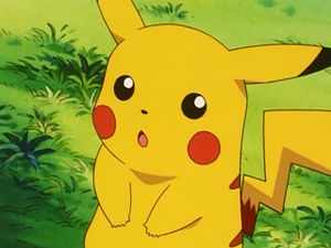 EP119 - Pikachu de Sacha.png