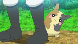 LV145 - Morpeko de James.png