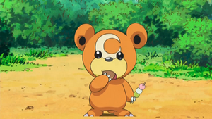 Teddiursa animé.png