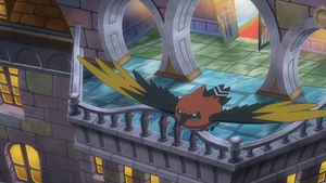 XY082 - Braisillon de Sacha.png