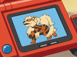 AG139 - Arcanin Pokédex.png