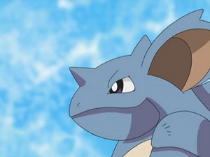 DP140 - Nidoqueen.png