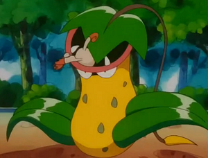 EP173 - Empiflor de James.png