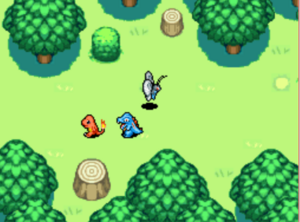 Petit Bois (2) PDMRB.png
