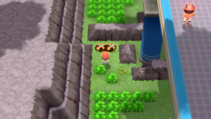 Route 206 Arbres à Baies 2 DEPS.png