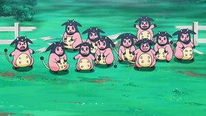 SL070 - Écrémeuh de la ferme de Kiawe.png