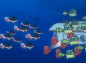 DP113 - Écayon, Lovdisc et Qwilfish.png