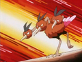 Dodrio (d'Albert)