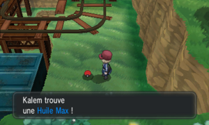 Route 18 Huile Max XY.png