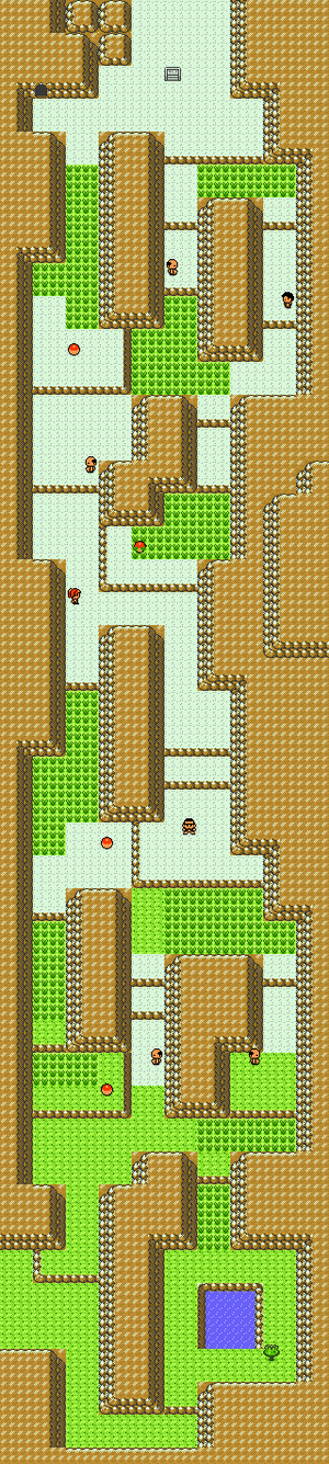 Route 45.png