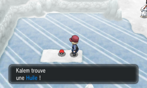 Caverne Gelée Huile XY.png