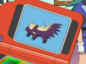 DP036 - Moufouette Pokédex.png