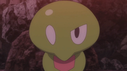 Pouic/Z1(Zygarde, forme cœur, rouge)(sauvage)