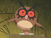 Hoothoot(sauvage)