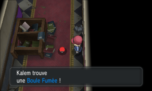 Hôtel Désolation Boule Fumée XY.png
