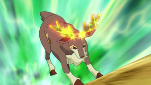 Haydaim Encornebois.png
