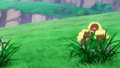 Triopikeur d'Alola(sauvage)