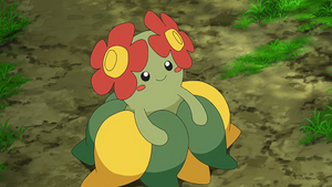 LV032 - Joliflor (Flash-back).png