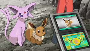 NB102 - Évoli Pokédex.png