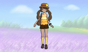 Vidéo Dresseur Décor Luminosité Lumineux.png